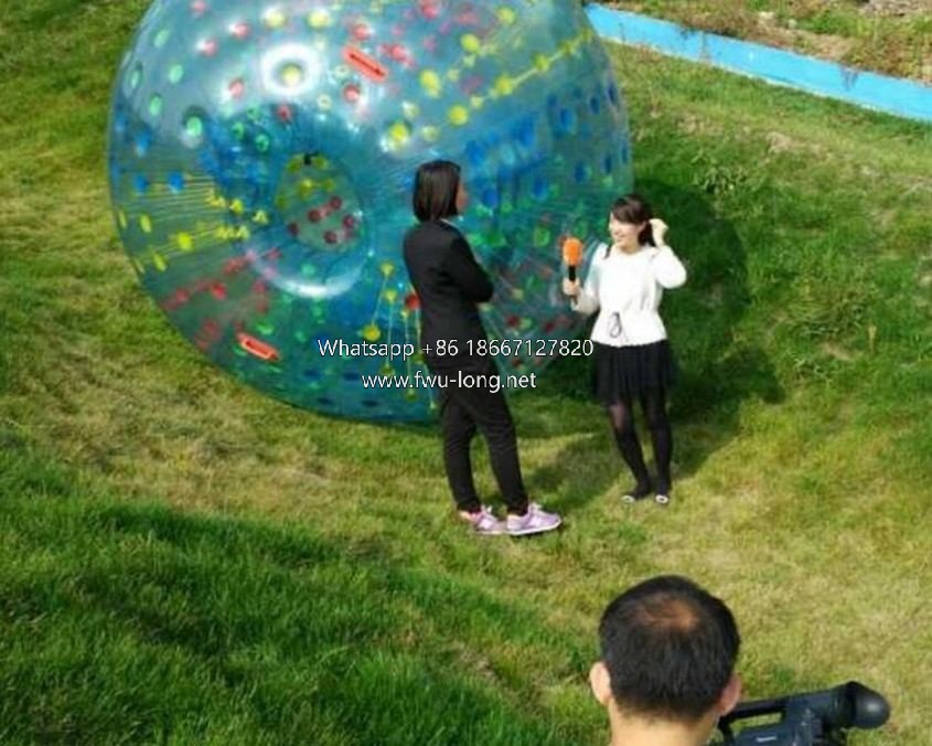 Team interactive rolling game scene of zorb ball on outdoor lawn.jpg