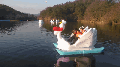 bumper boat.gif
